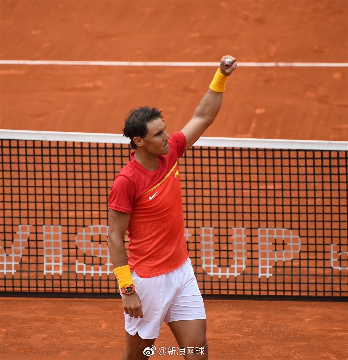 拉沃尔杯横扫戴维斯杯，蒂姆刷新纪录