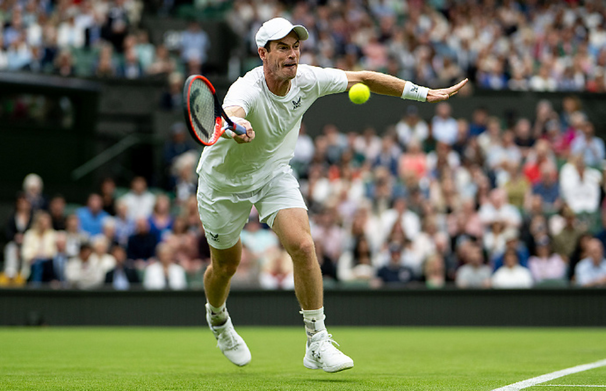 澳网鏖战ATP总决赛，穆雷状态火热