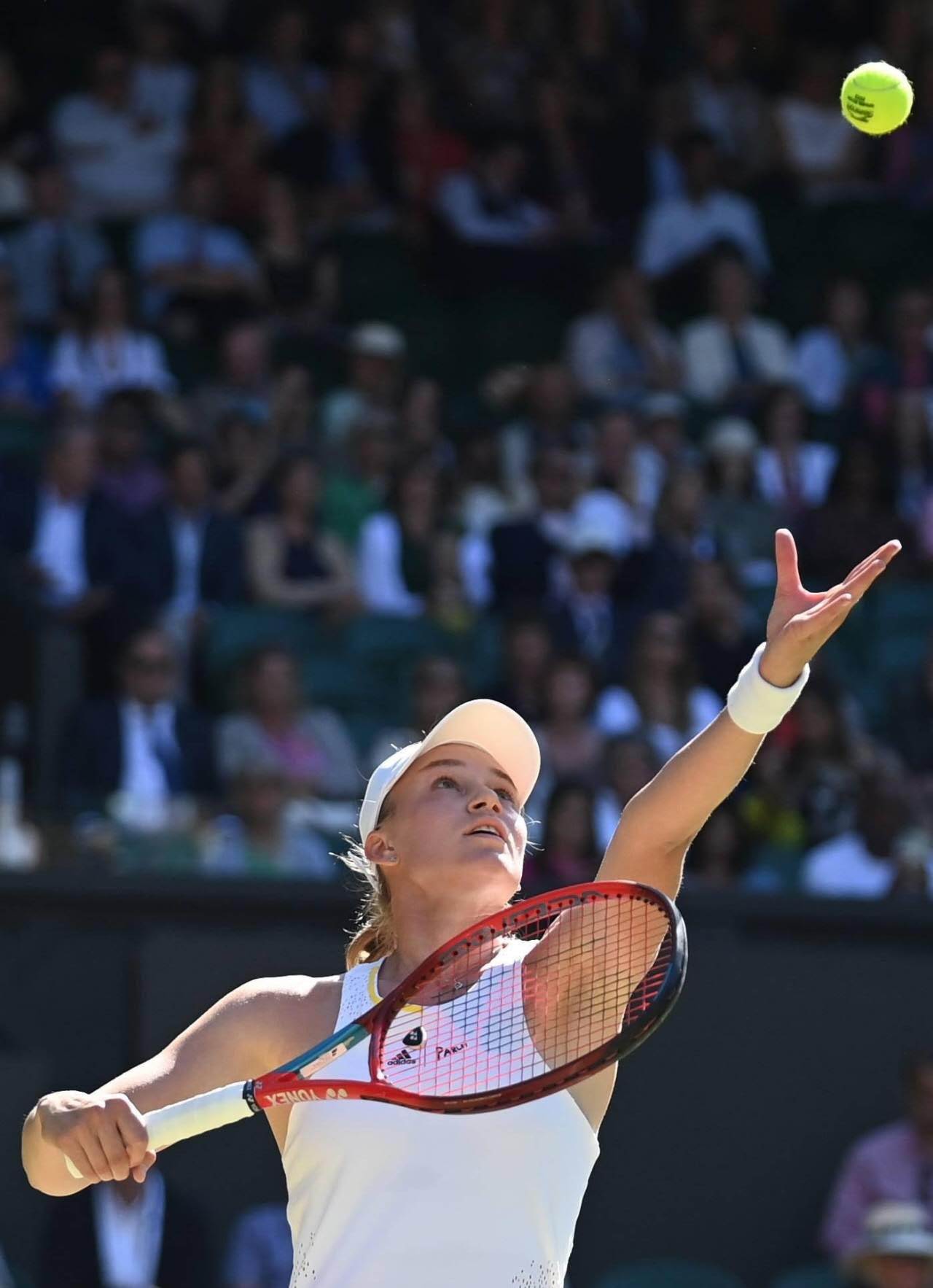 温网碾压戴维斯杯，鲁德惊艳四座