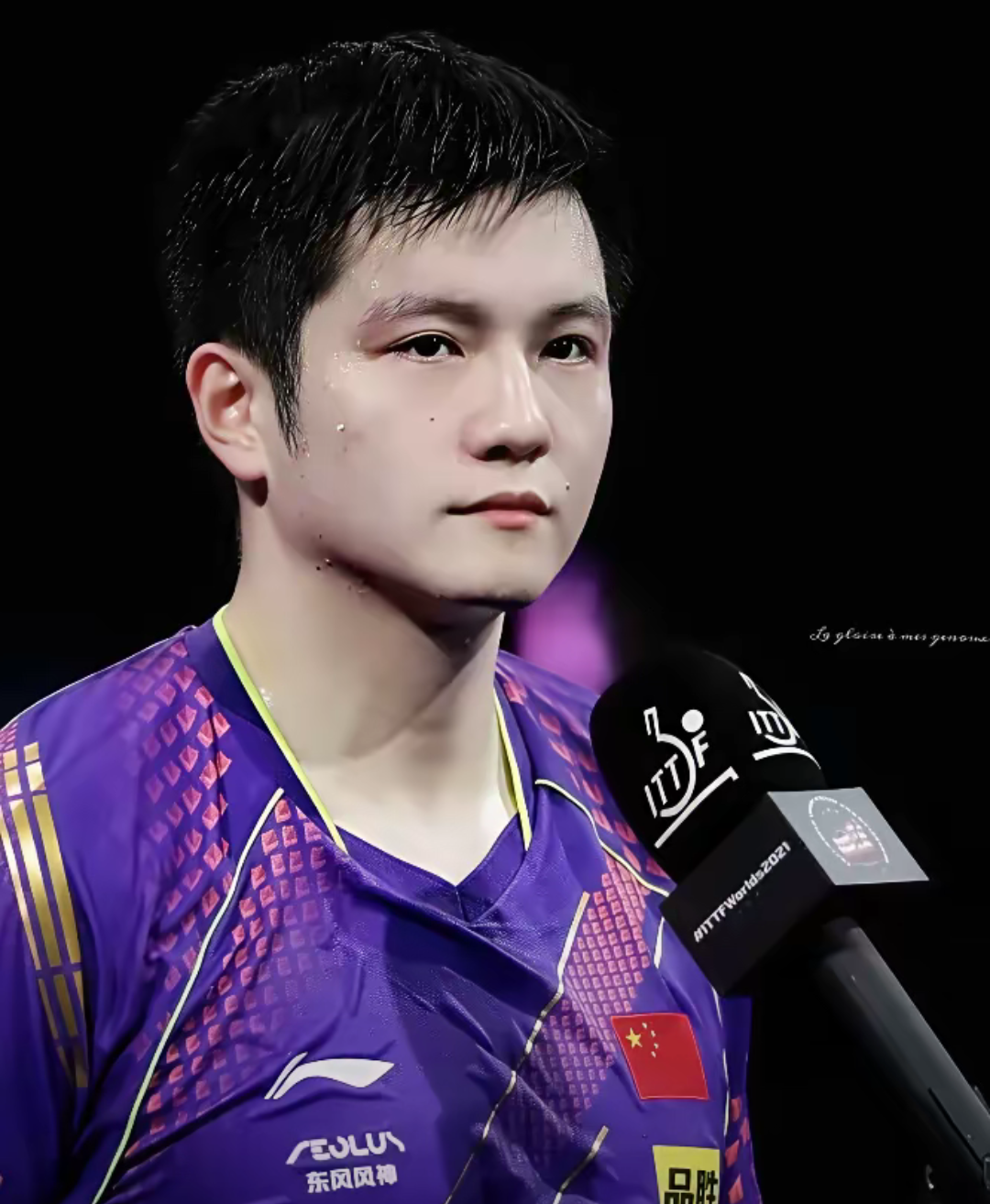 葡萄牙队翻盘德国队，樊振东刷新纪录